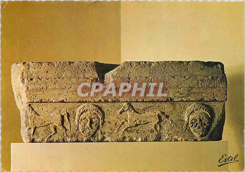 CPM Nimes (Gard) Musee Archeologique le Linteau de Nages epoque preromaine