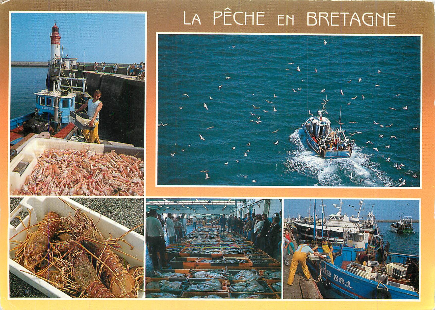 CPM Couleurs de Bretagne Retour de peche