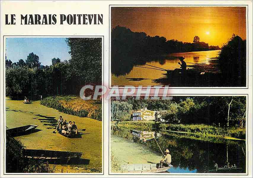 CPM La Venise Verte Vues typiques du Marais Poitevin