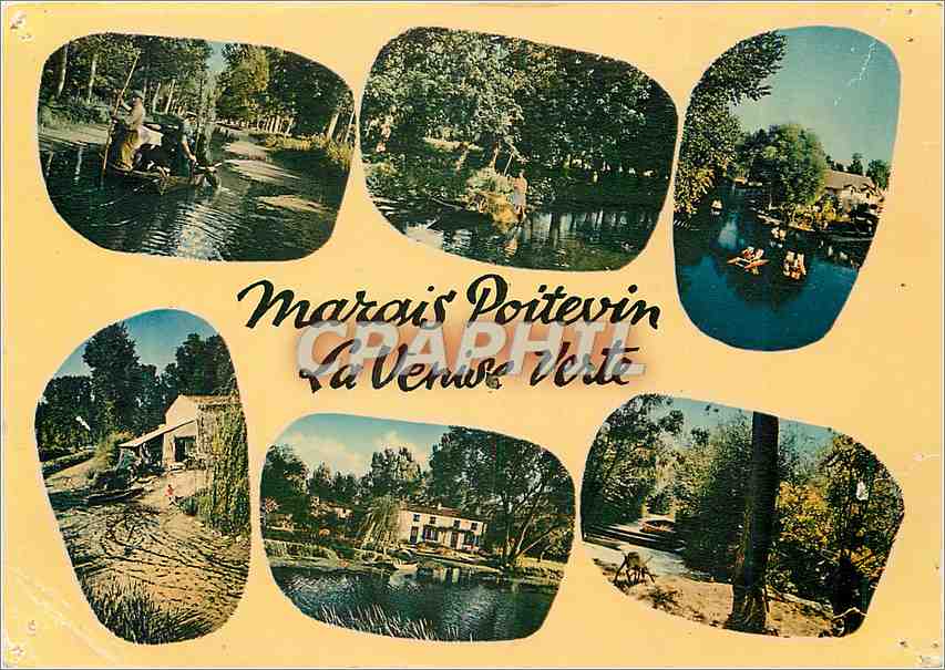 CPM Marais Poitevin Venise Verte Cathedrale de la Verdure