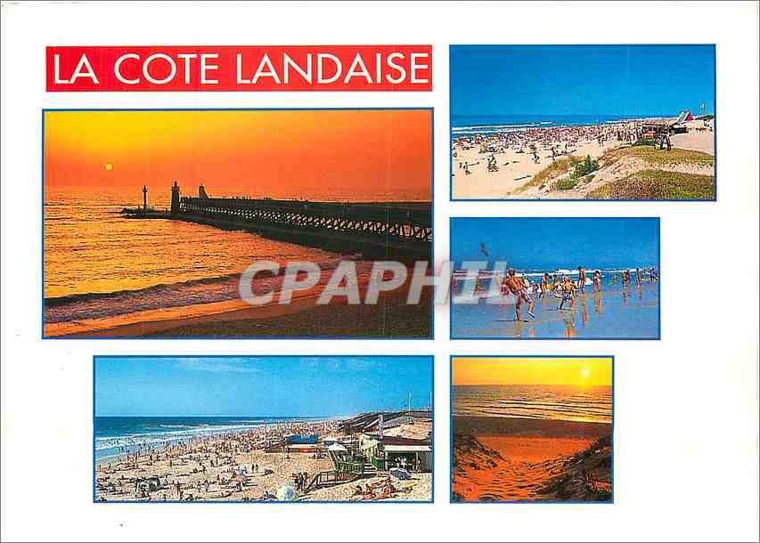 CPM La Cote Landaise Le Lann Olivier Anger