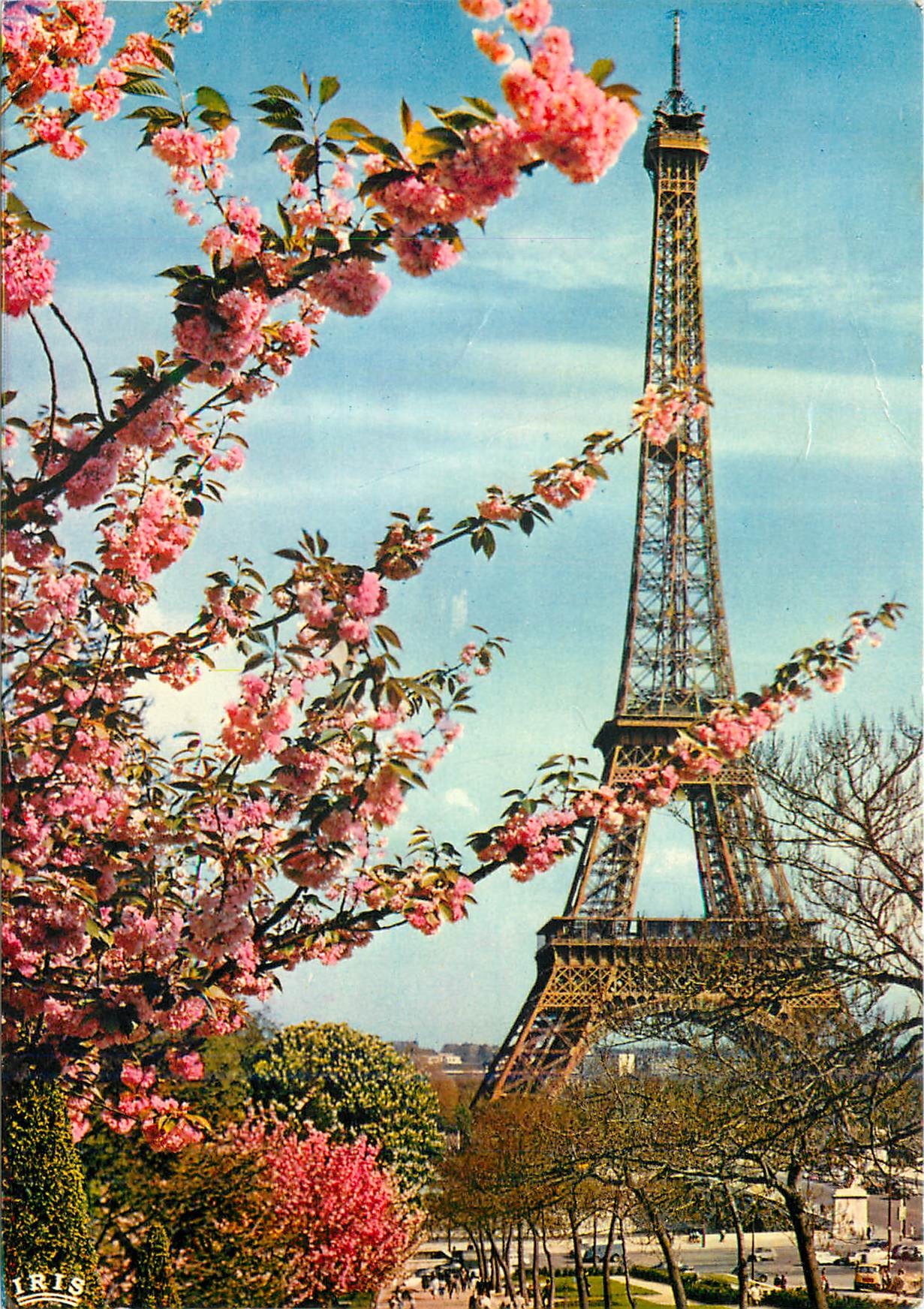 CPM Paris La Tour Eiffel