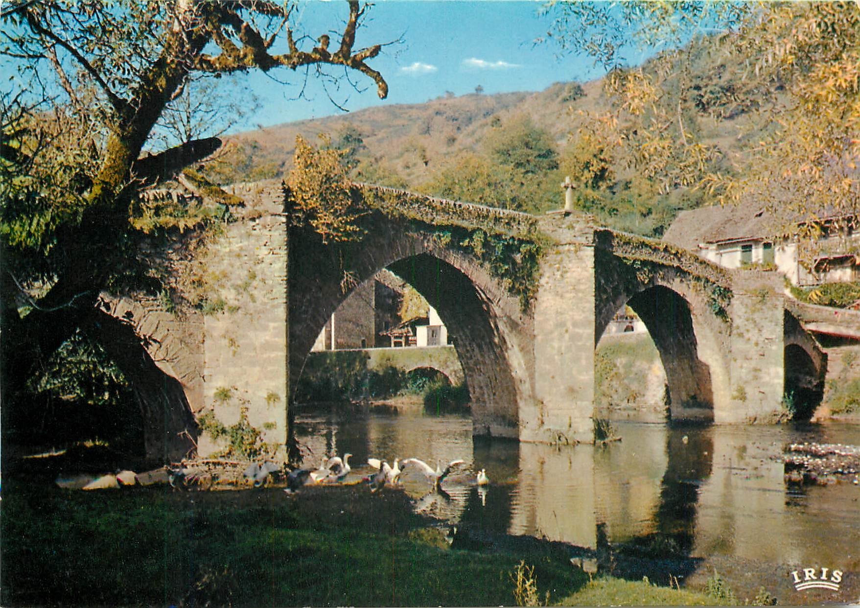 CPM Gorges de l'Aveyron Belcastel Le pont gothique