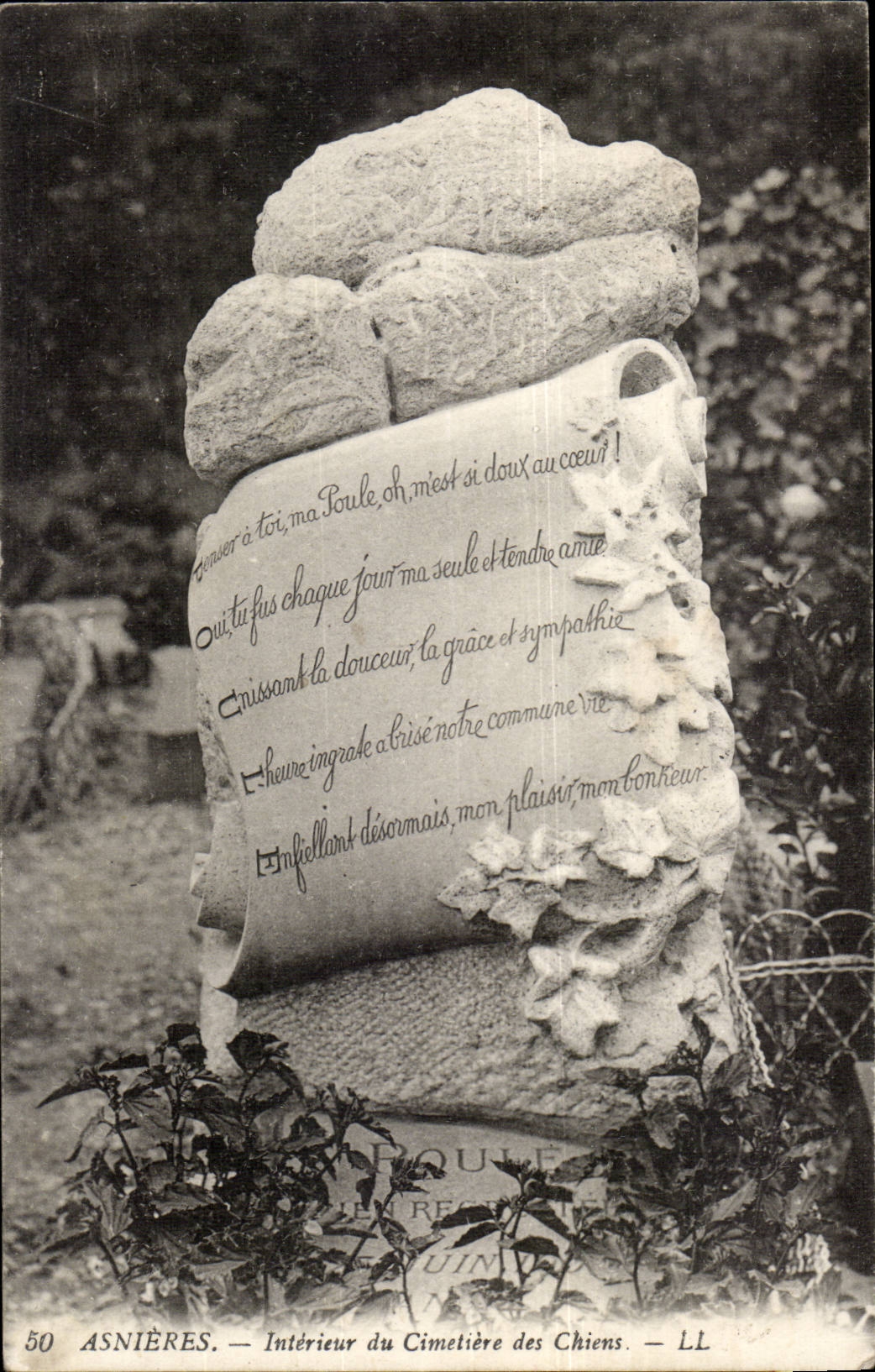 Asnieres CPA Interieur du cimetiere des chiens