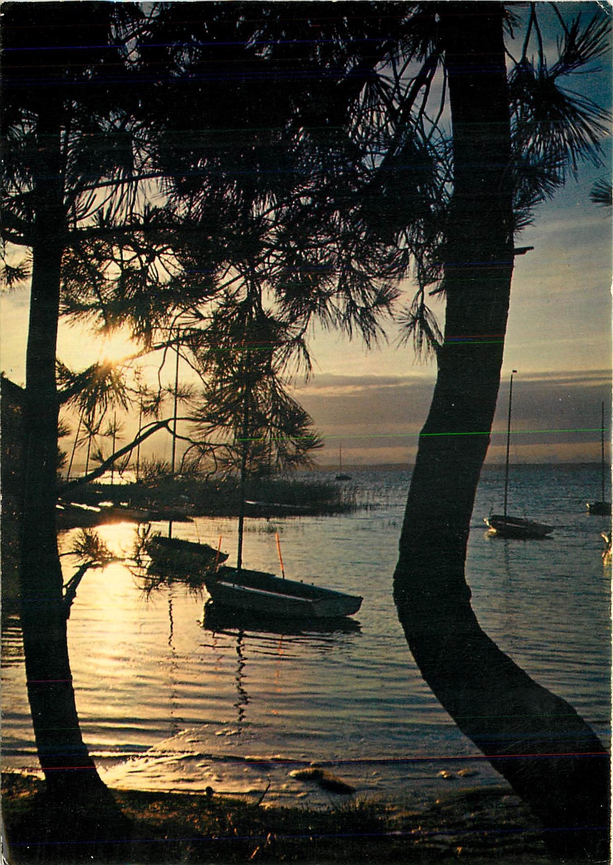 CPM Quoi de plus agreable que de rever le soir Etendu sur le Sable