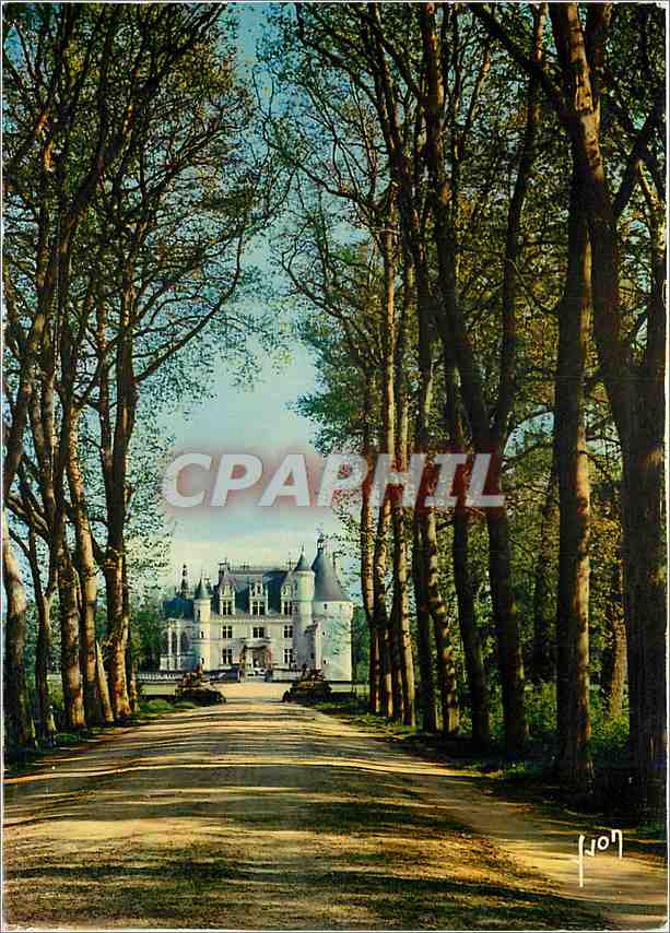 CPM Couleurs et Lumiere de France Val de Loire Chenonceaux Magnifique allee conduisant au chateau