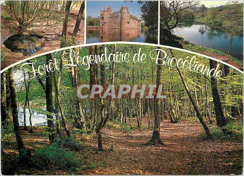 CPM Couleurs de Bretagne la Foret de Broceliande La Foret legendaire et le chateau de Trecesson