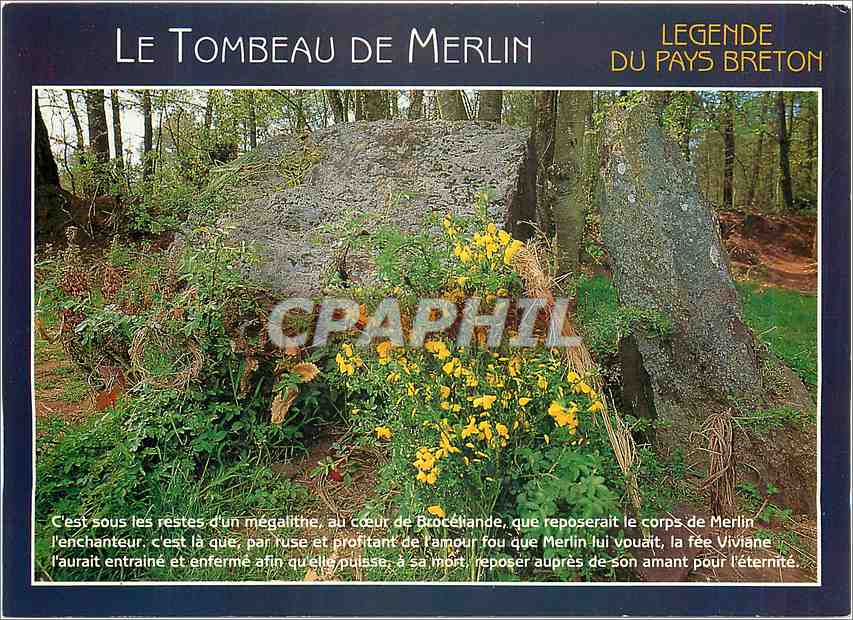 CPM Couleurs de Bretagne Legende du Pays Breton (Foret de Broceliande)