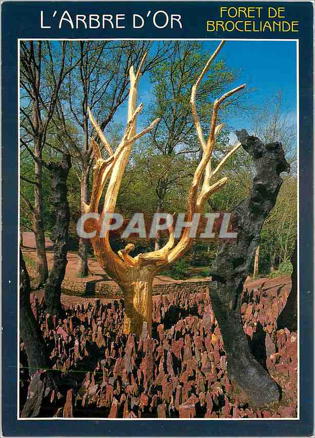 CPM Couleurs de Bretagne Foret de Broceliande (Morbihan) L'Arbre d'Or Symbole de la renaissance