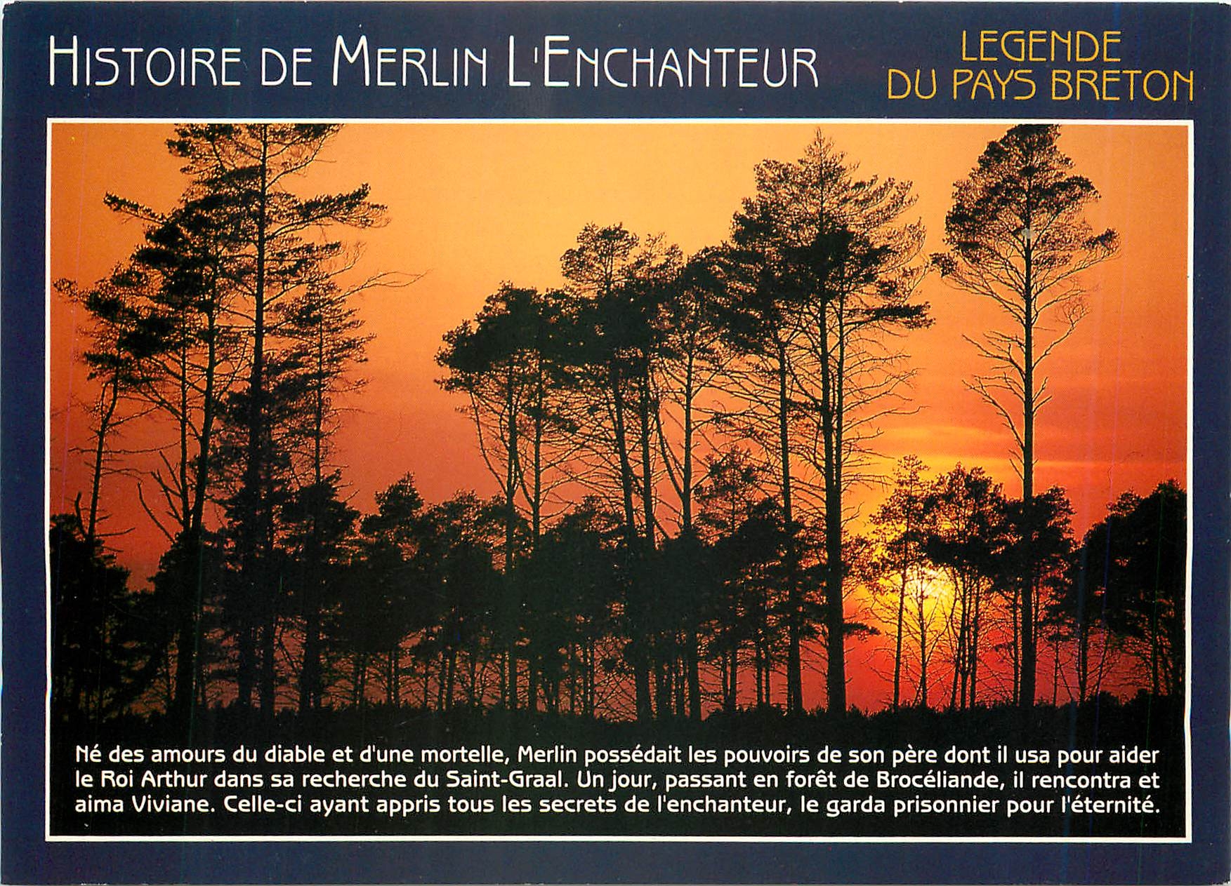 CPM Couleurs de Bretagne legende du pays Breton (Foret de Broceliande) La Foret Legendaire