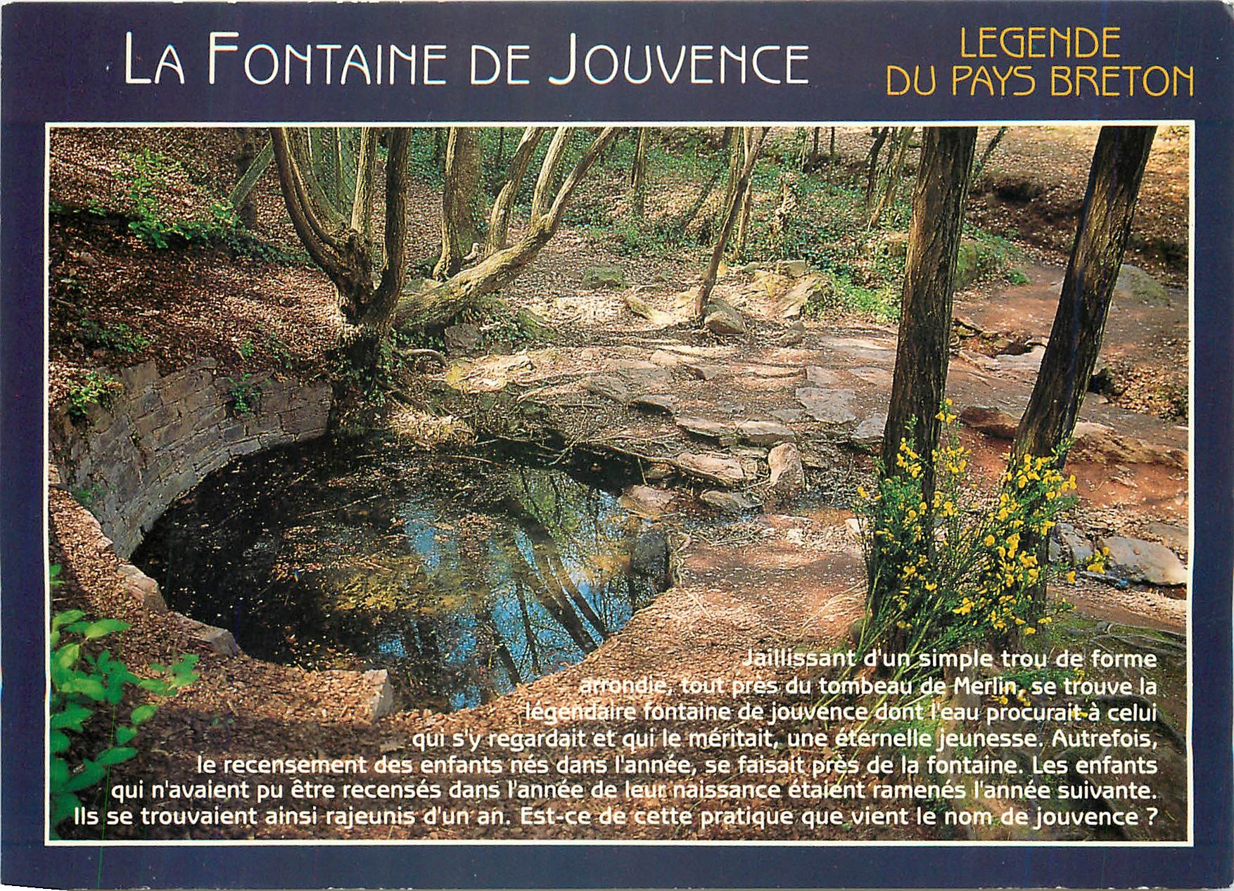 CPM Couleurs de Bretagne legende du pays Breton (Foret de Broceliande) La Fontaine de Jouvence