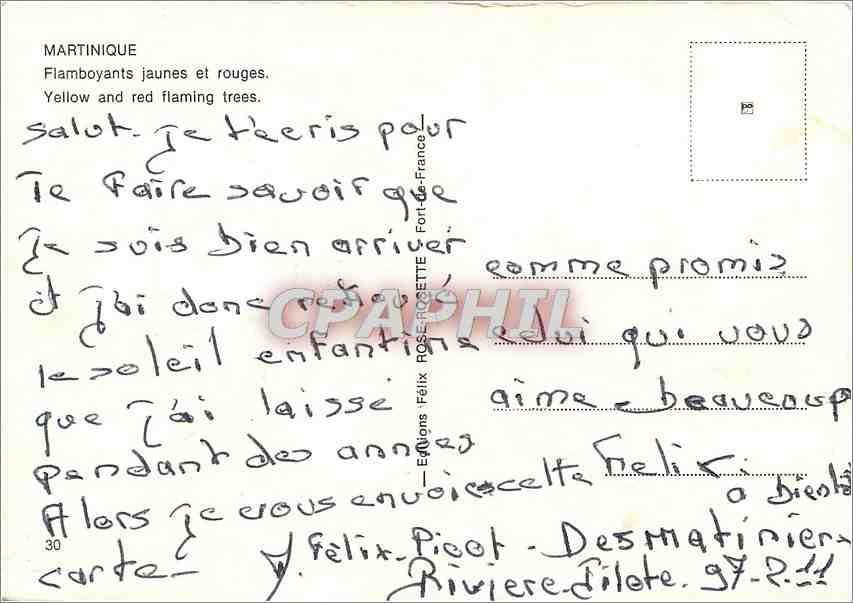 CPM Martinique Flamboyant jaunes et rouges — Rückseite