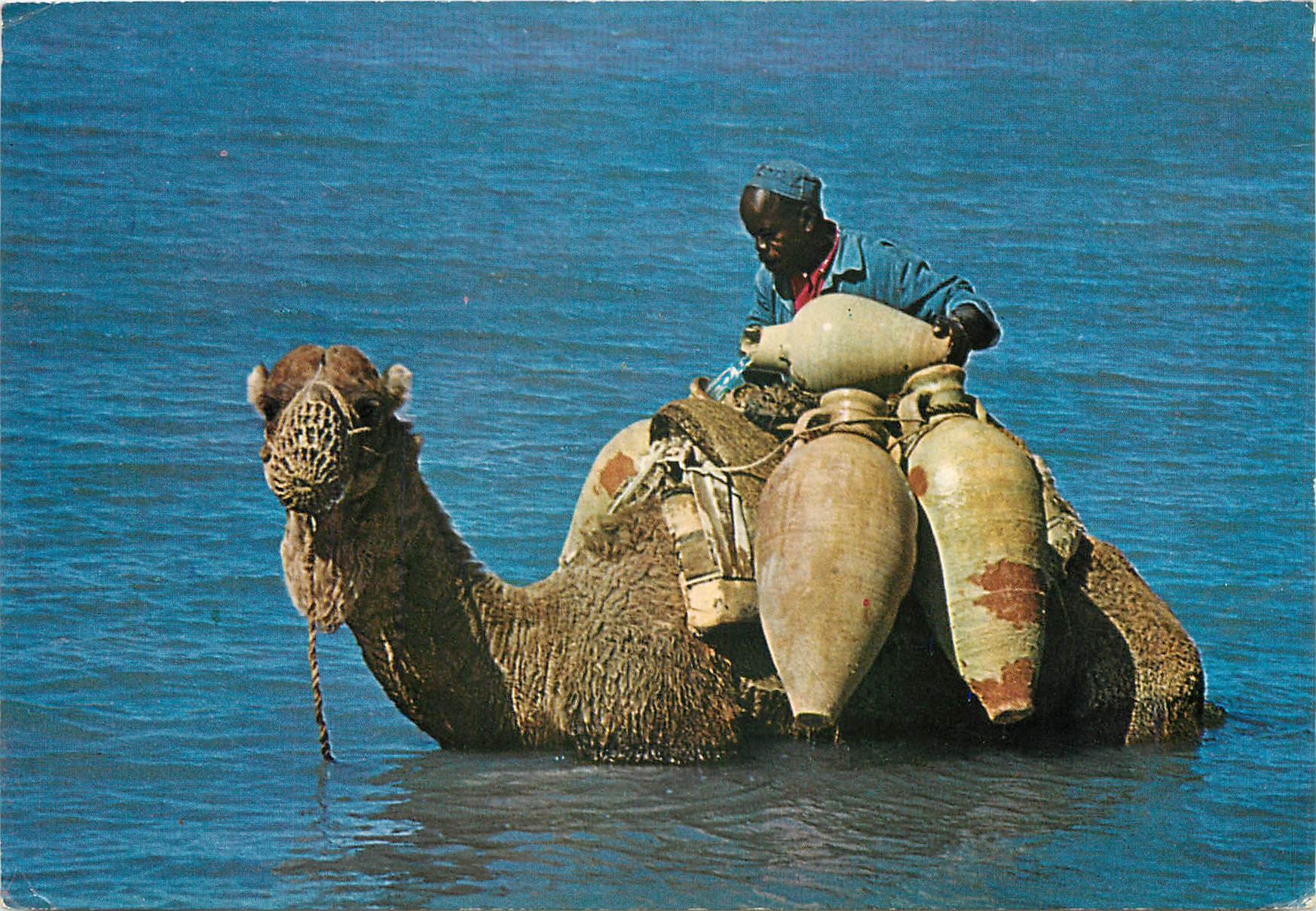 CPM Djerba Ce n'est pas la mer a boire