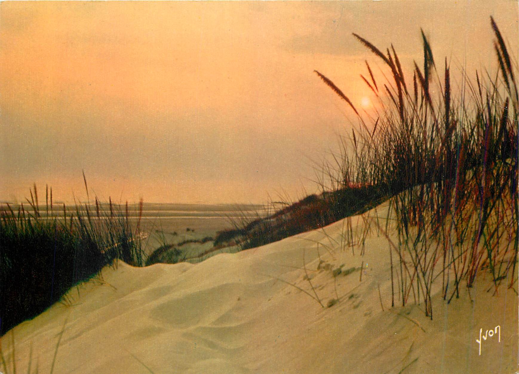 CPM La Cote d'Opale Coucher de Soleil dans les Dunes