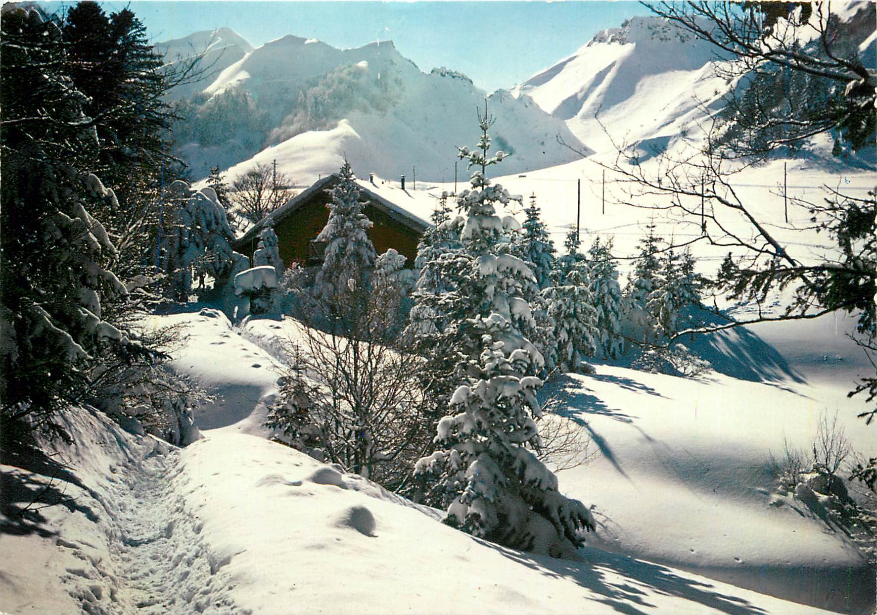 CPM Sports d'Hiver en Auvergne Le chalet du club Alpin au pied du Sancy (1886 m)