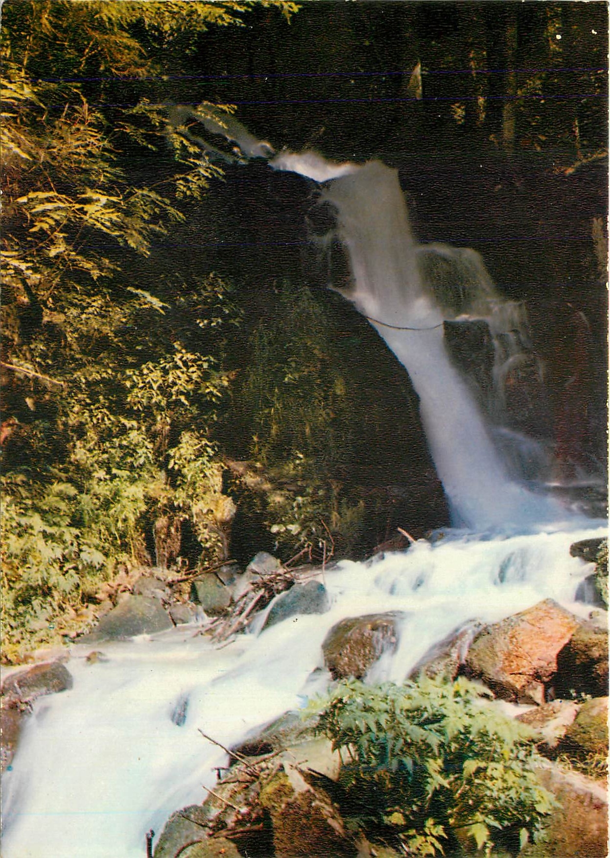 CPM Vosges touristiques Sapois Cascade du Bouchot