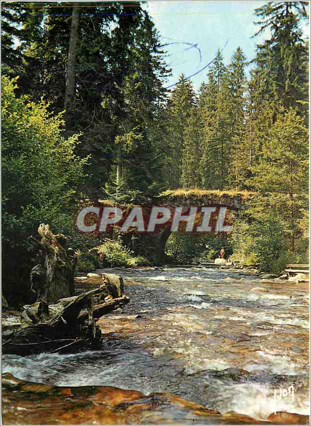 CPM Les Vosges Gerardmer (Vosges) La Vologne et le Pont des Fees