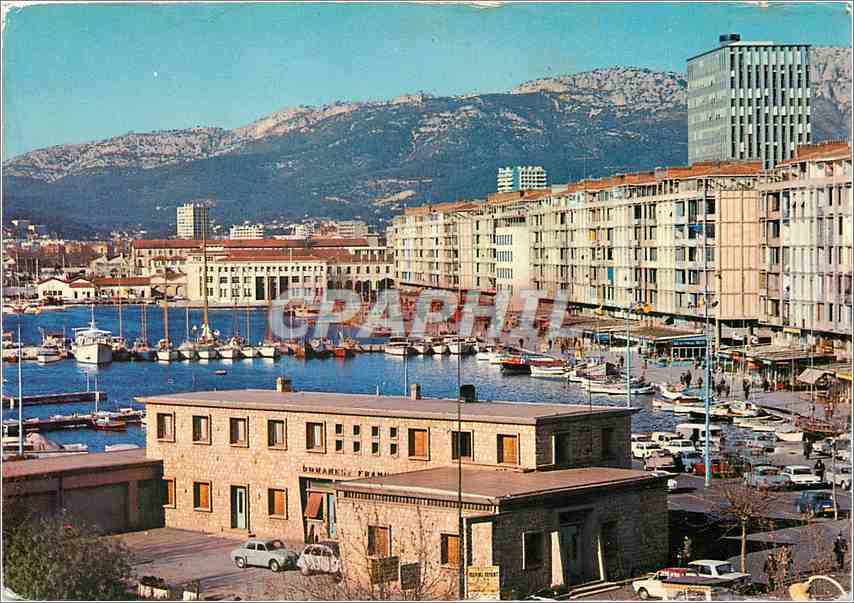 CPM Toulon (Var) La Douane Le port et l'Hotel de Ville