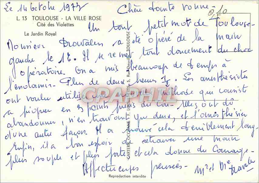 CPM Toulouse La Ville Rose Cite des Violettes Le Jardin Royal — Rückseite