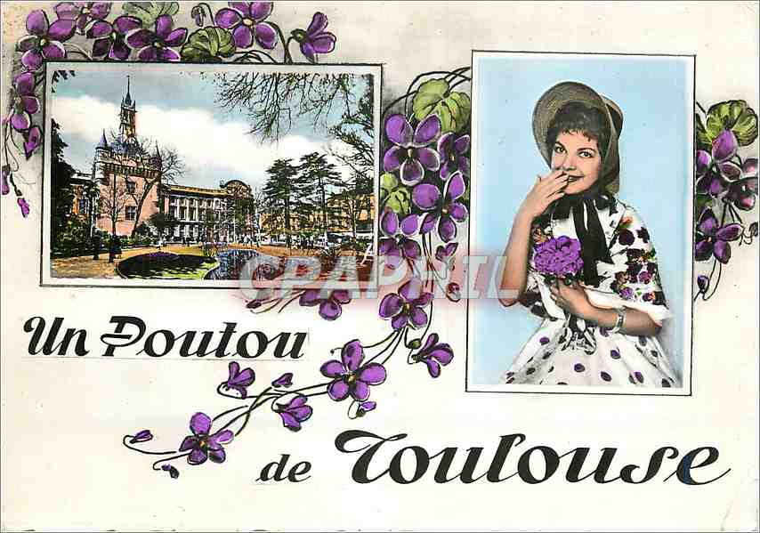 Ein Poutou von Toulouse — Graphil