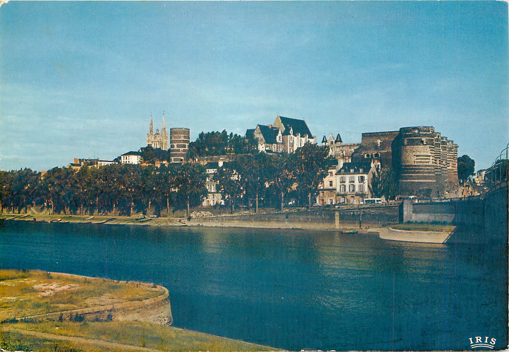 CPM Angers (M et L) Vue generale du Chateau et la Maine
