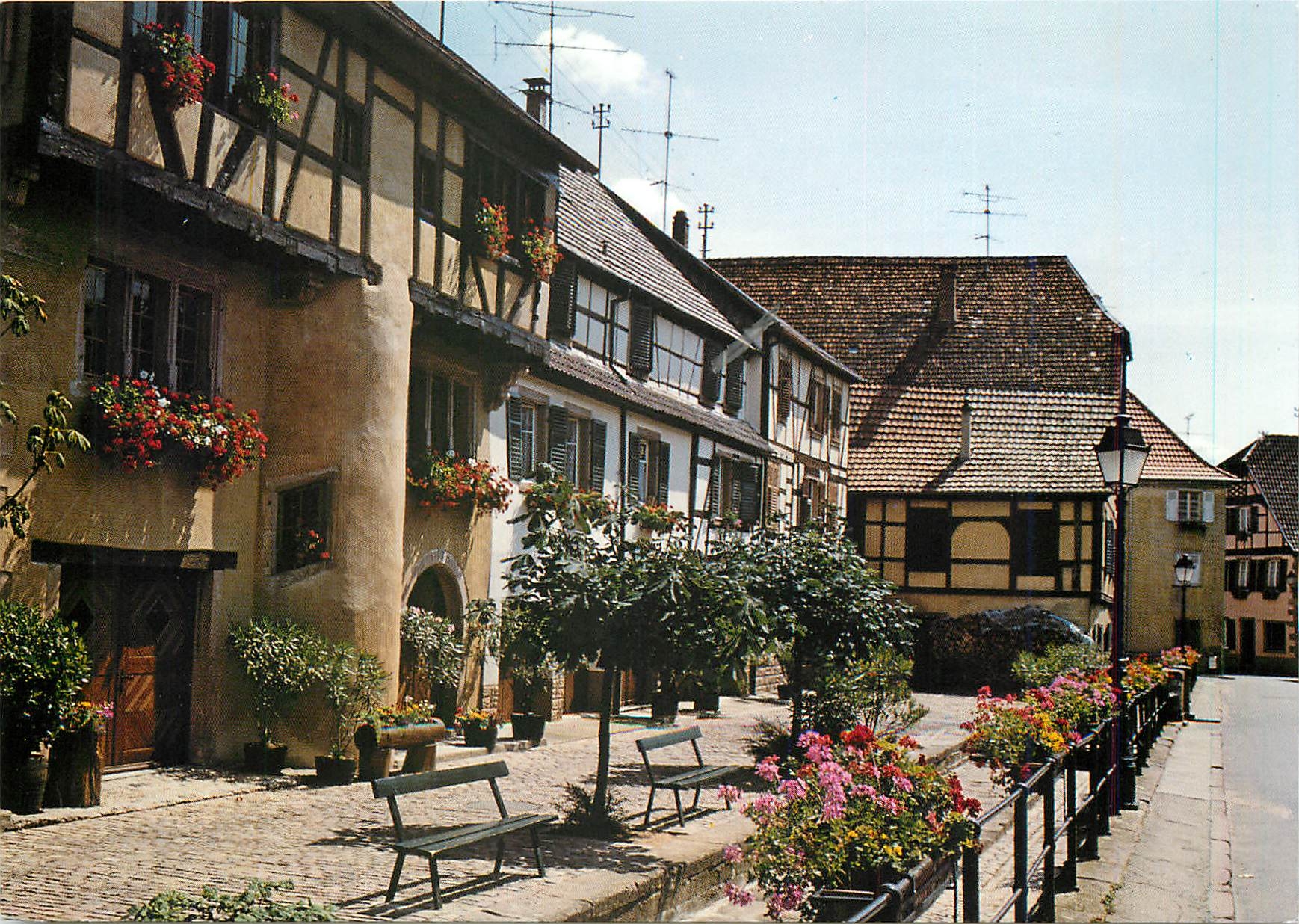 CPM L'Alsace Fleurie Vieilles maisons a colombages richement Fleuries a Ribeauville (Place du Rouc)