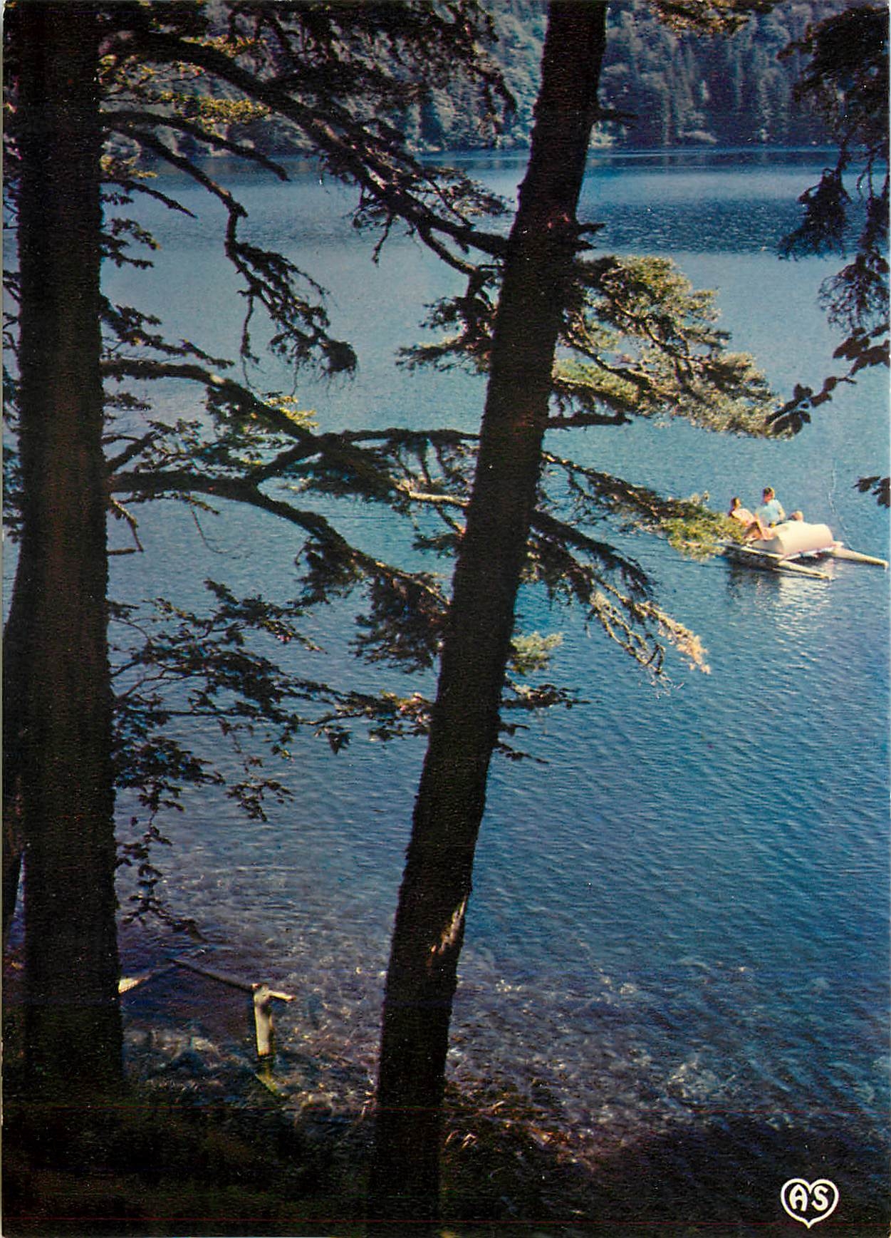 CPM Auvergne Pittoresque Le Lac Pavin (alt 