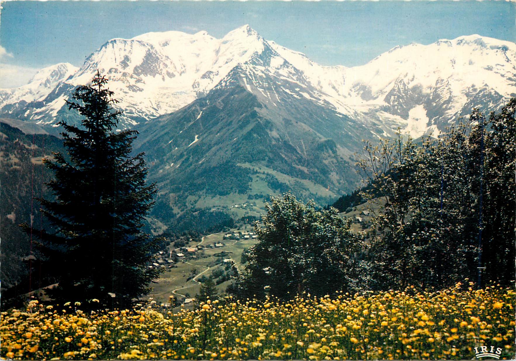 CPM Panorama sur le massif du Mont Blanc
