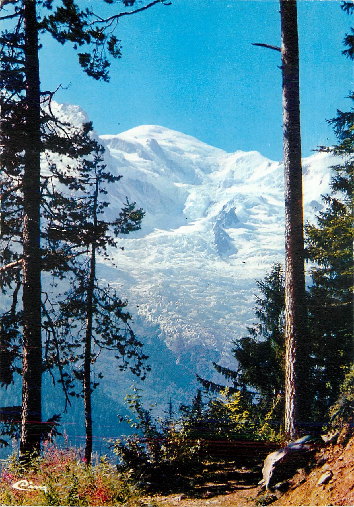 CPM Les Alpes Francaises Panorama du Mont Blanc