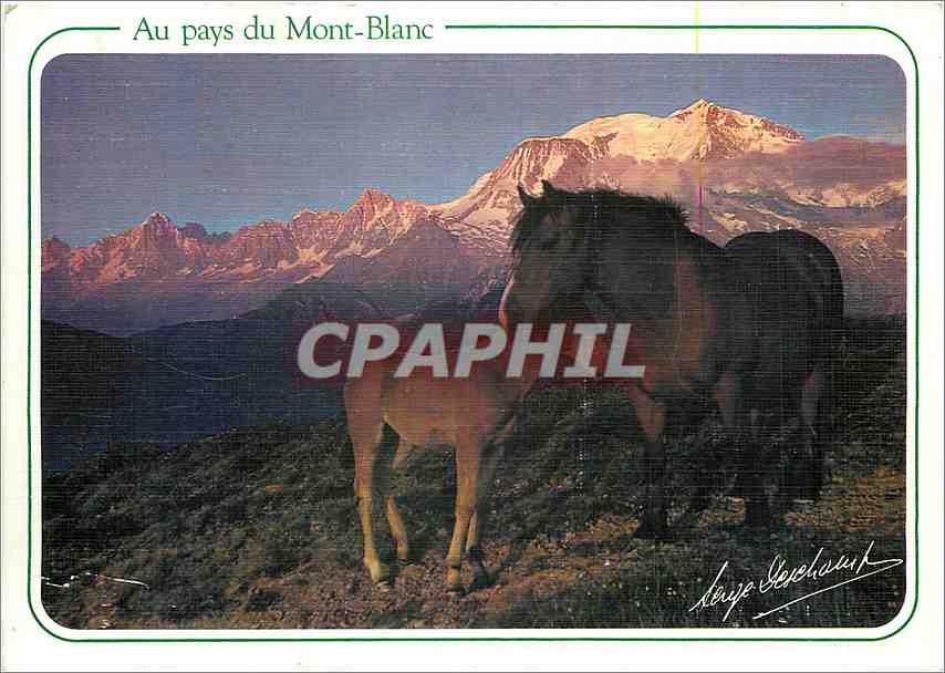 Im Land des Mont-Blanc — bergiges Landschaftsbild mit Pferden — Editions SERGE DESCHAMPS