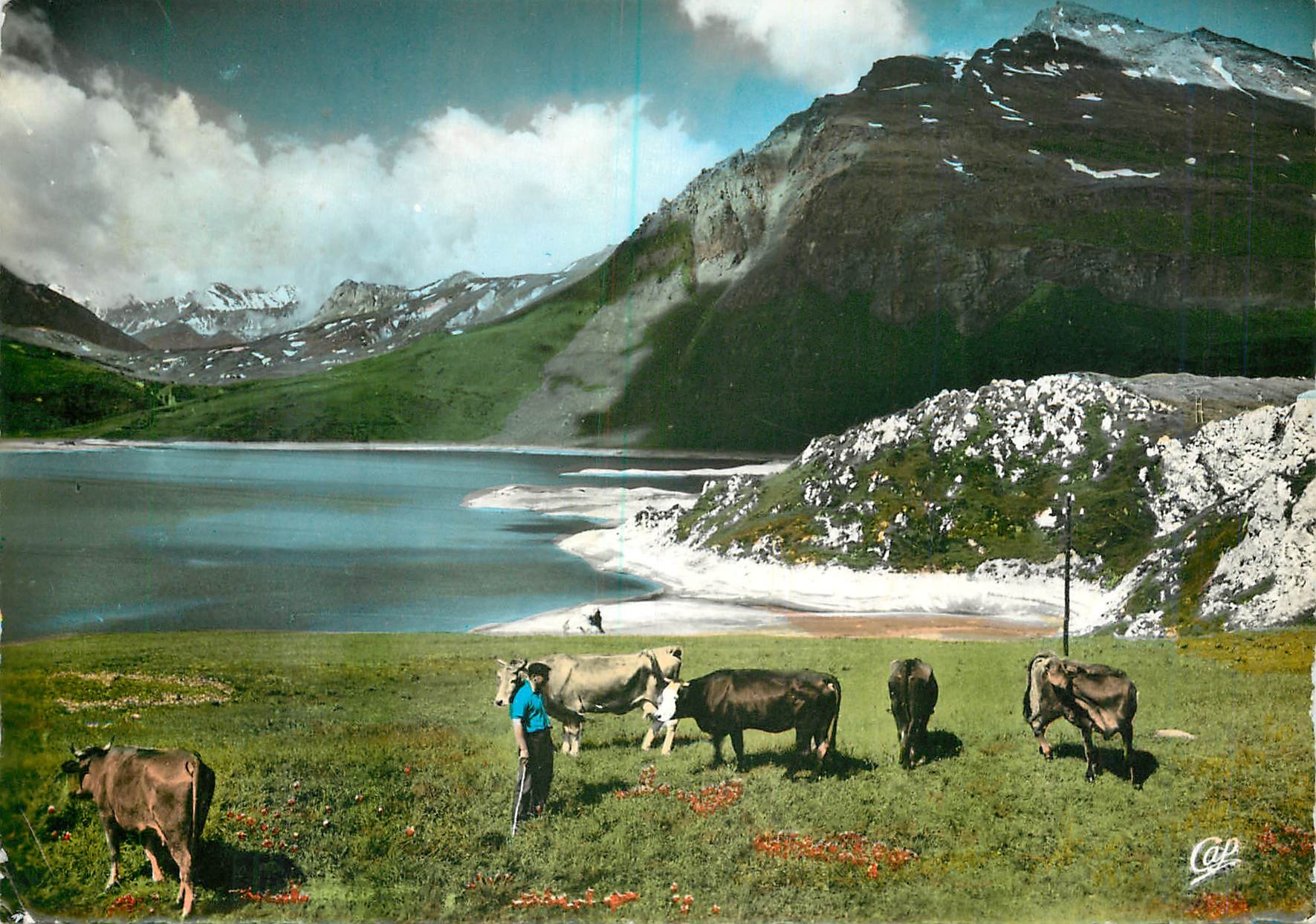 CPM Col du Mont Cenis Paturages autour du Lac Vaches