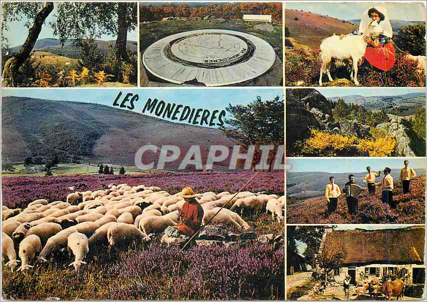 CPM Le Limousin Touristique les Monedieres Chevre Moutons