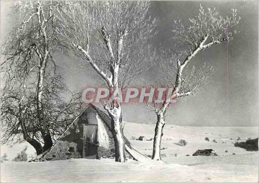CPM Sur l'Aubrac Un Buron sous la neige 