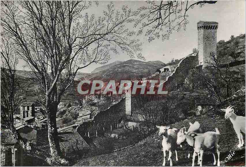 CPM Castellane Bassees Alpes sur la route Napoleon station estivale Chevres