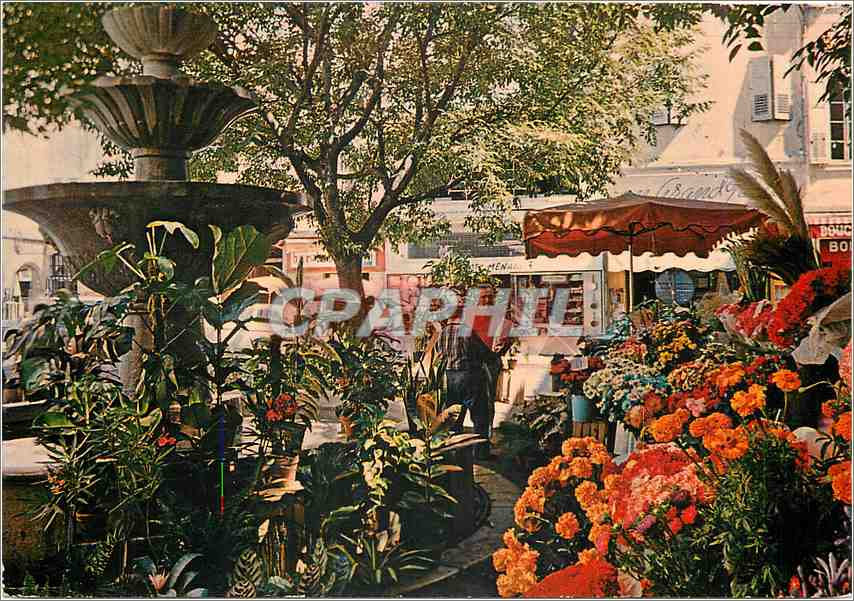 CPM Grasse Alpes Maritimes La fontaine de la place aux Aires 