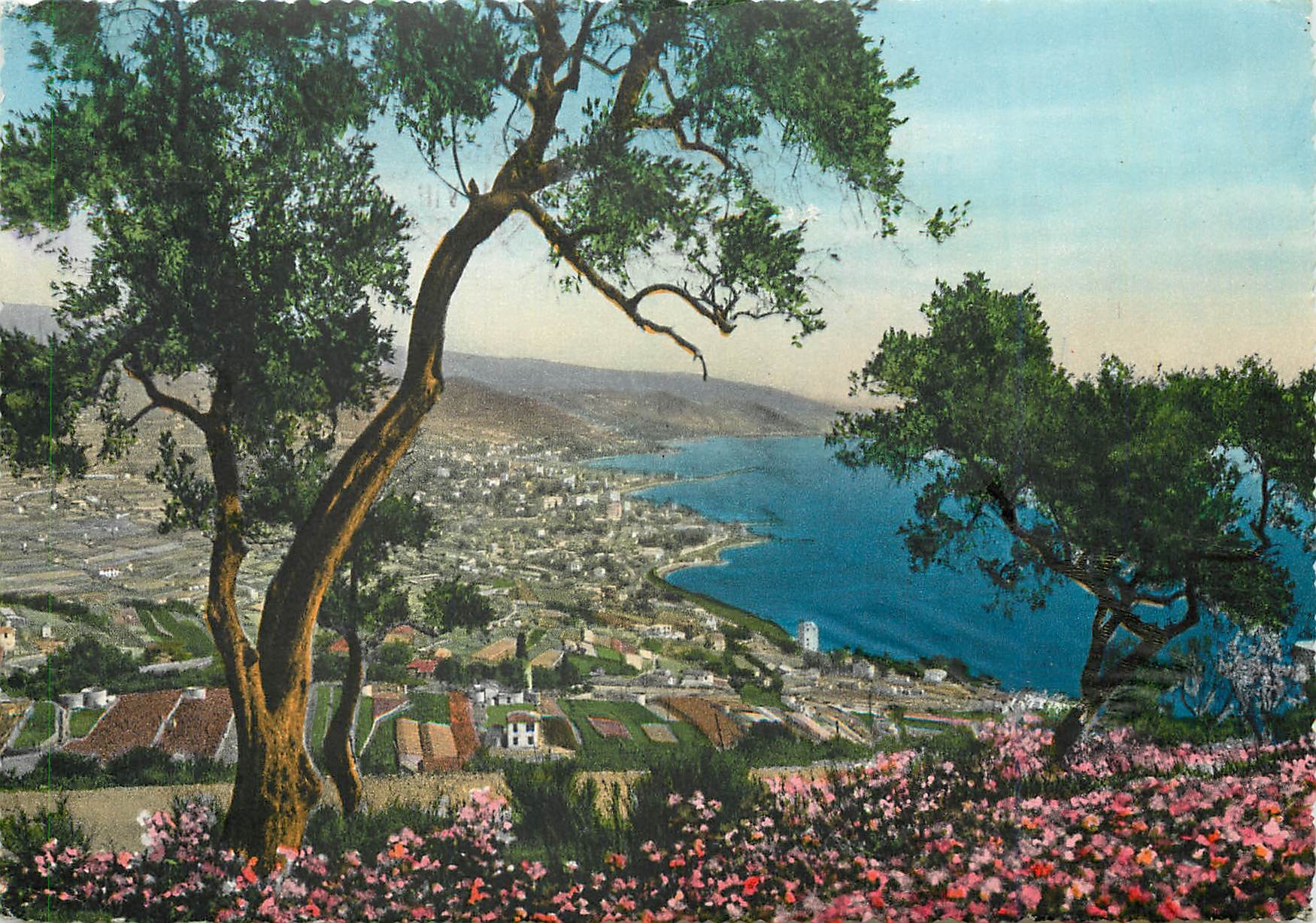 CPM Riviera dei Fiori S Remo Panorama vu de l'Ouest 