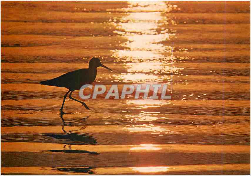 CPM Coucher de soleil
