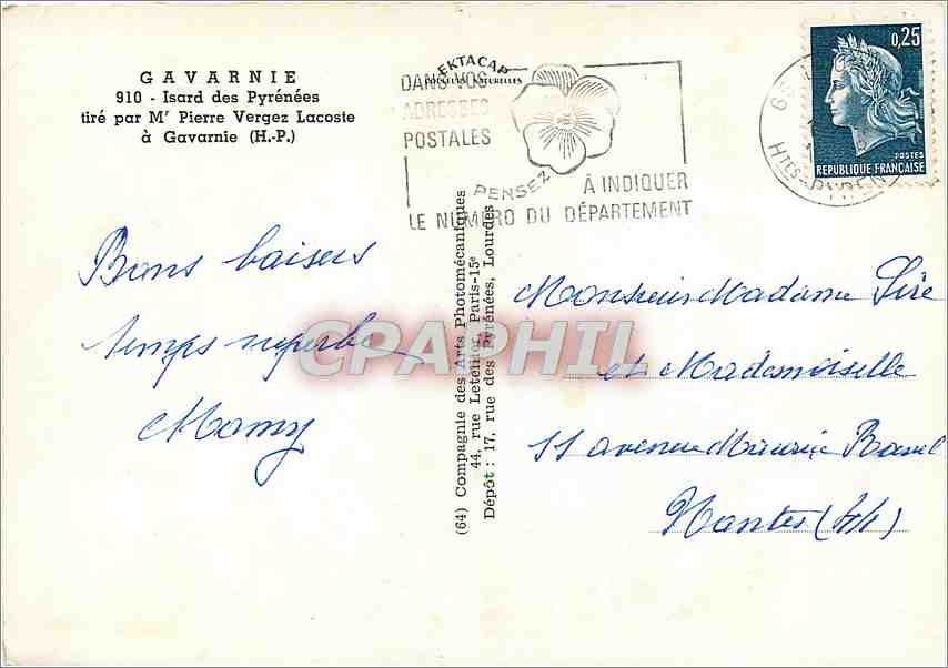 CPM Gavarnie Isard des Pyrenees tire par M Pierre Vergez Lacoste a Gavarnie HP  — Verso