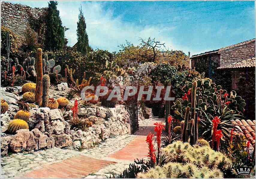 CPM La Cote d'Azur French Riviera Eze Village Le Jardin exotique 