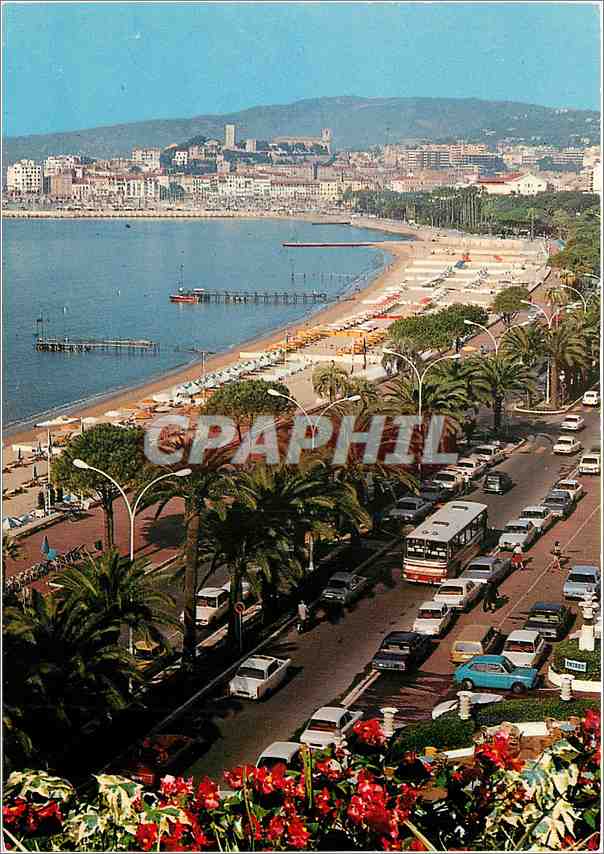 CPM Cannes La Croisette et le Suquet 