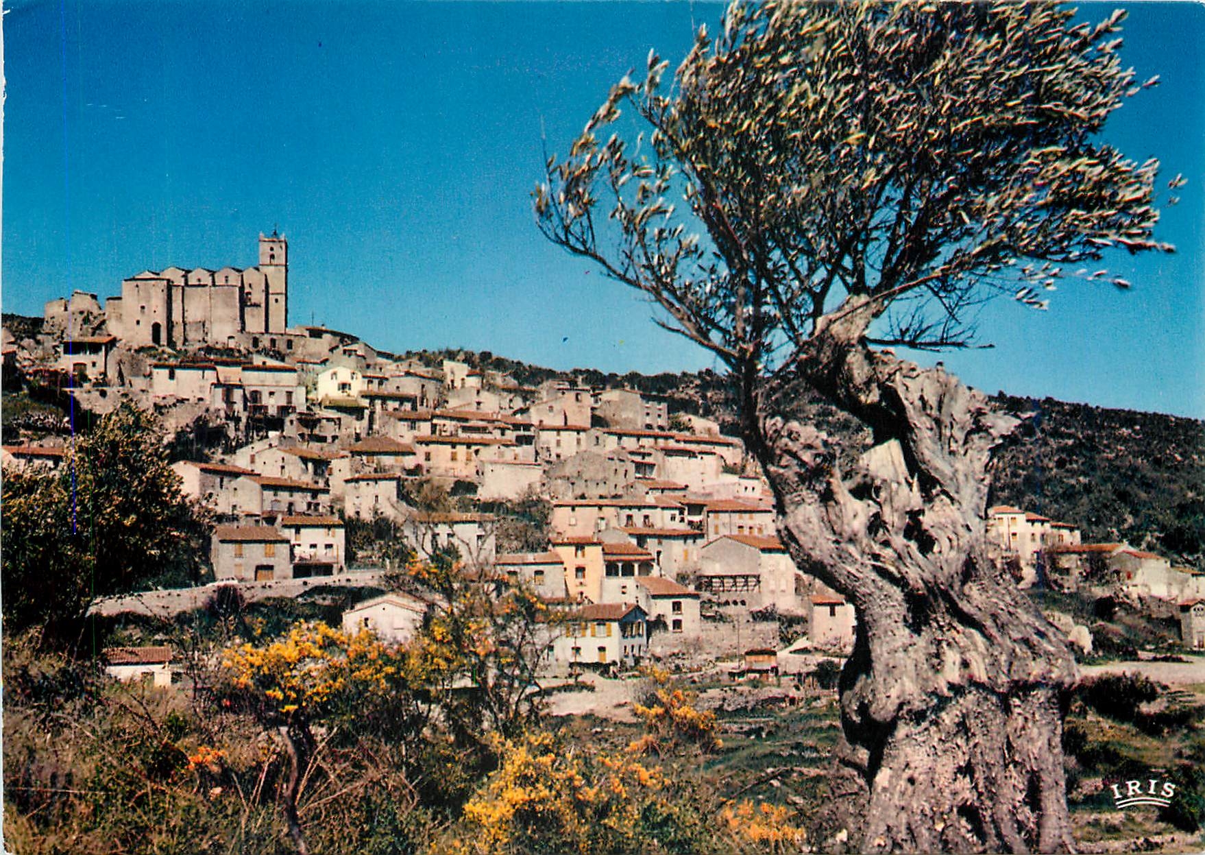 CPM Le Roussillon Aux environs de Prades Le village d'Eus domine par l'Eglise Saint Vincent 