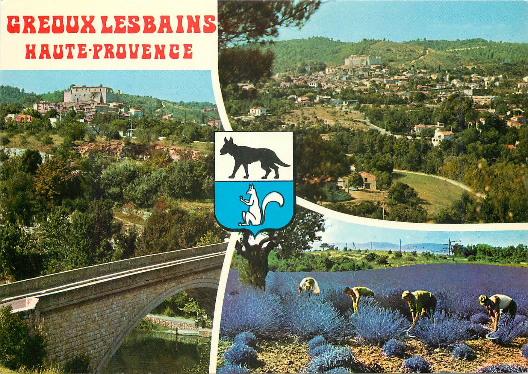 CPM Greoux les Bains Alpes de Haute Provence Station thermale et climatique 