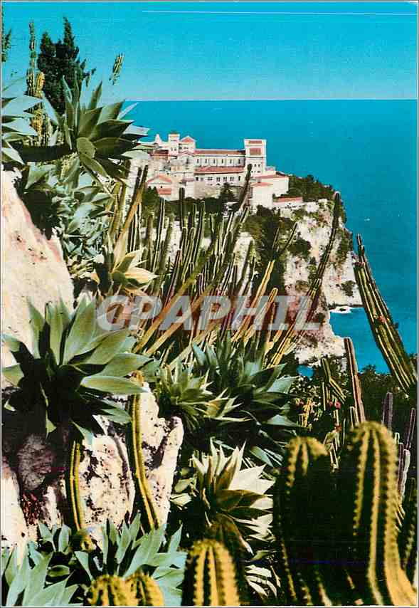 CPM Principaute de Monaco Le Jardin Exotique au fond le rocher de Monaco 