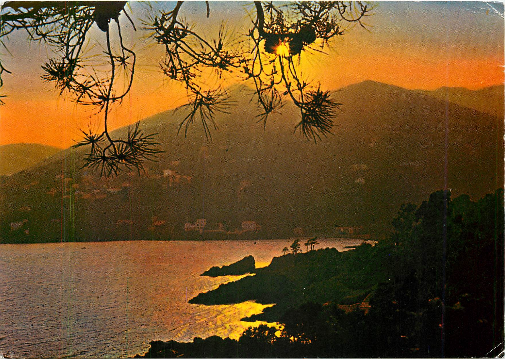 CPM Cote d'Azur Coucher de Soleil 