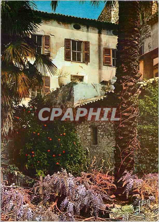 CPM La Cote d'Azur miracle de la nature Un coin pittoresque du vieux Saint Paul Alpes Maritimes 