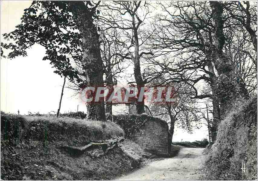 CPM Bretagne pittoresque Le charme un peu mysterieux des chemins creux 