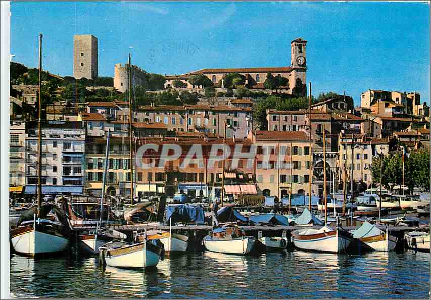 CPM Cannes Un coin du Port le Quai St Pierre et le Suquet Bateaux