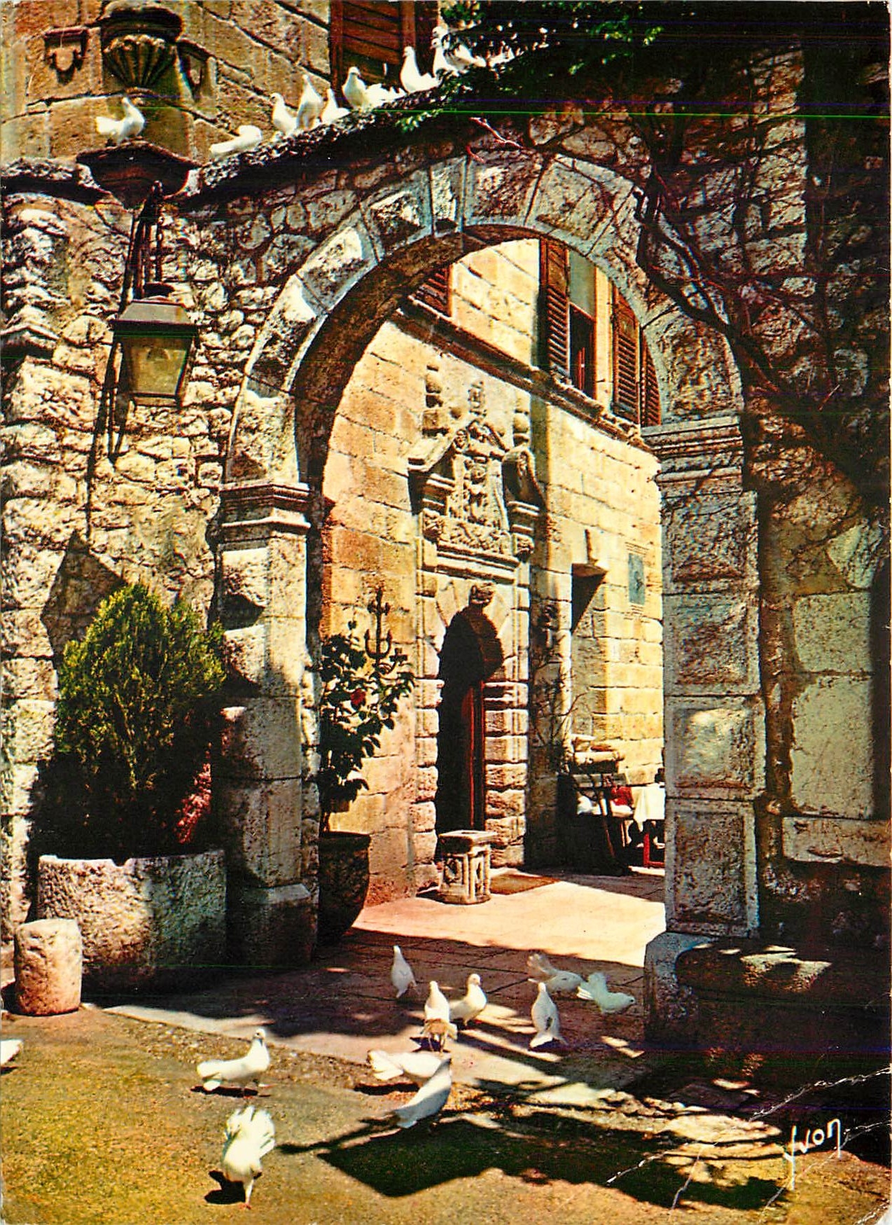 CPM La Cote d'Azur miracle de la nature Les Colombes blanches de Saint Paul Alpes Maritimes 