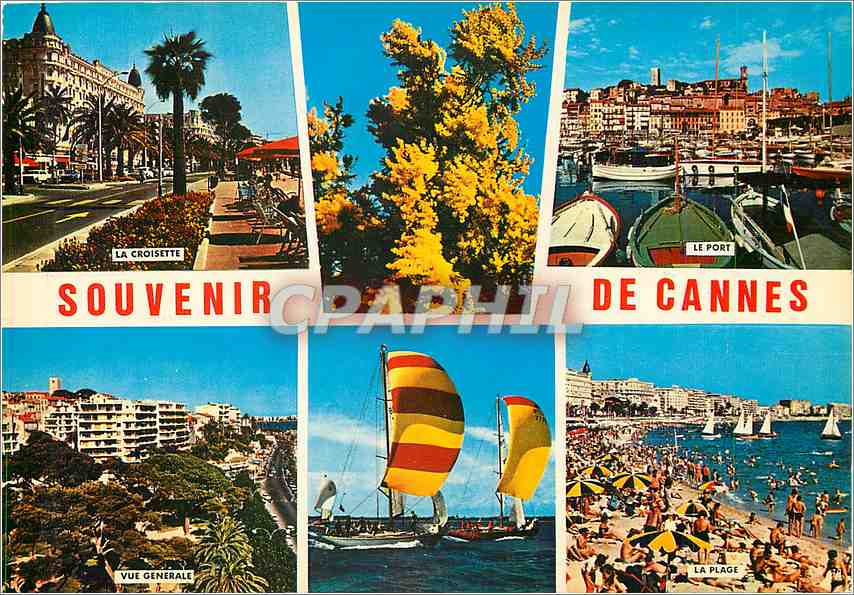 CPM La Cote d'Azur Cannes 