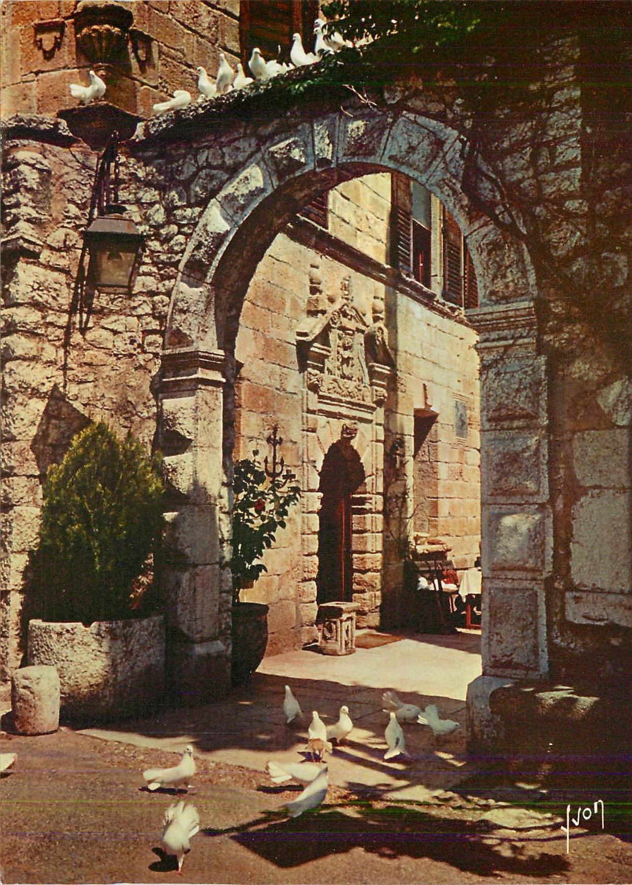 CPM La Cote d'Azur miracle de la nature Les colombes blanches de Saint Paul Alpes Maritimes 